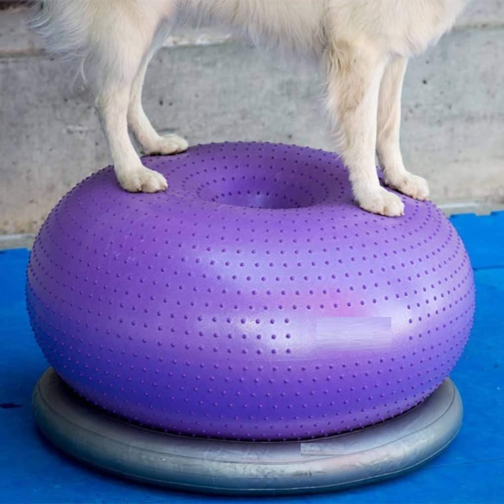 Plataforma de Equilíbrio para  - Balance Cushion Disc avaliação e preço