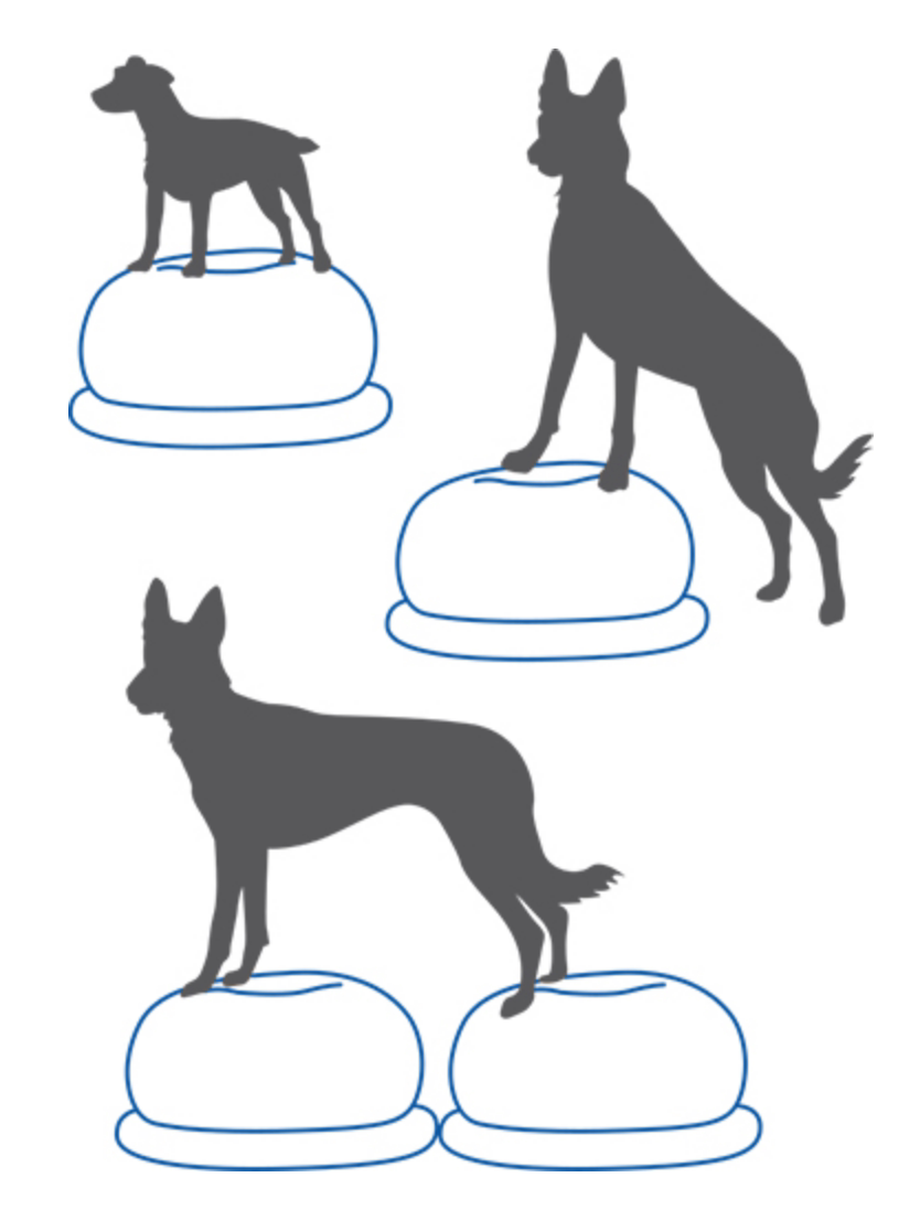 Plataforma de Equilíbrio para  - Balance Cushion Disc avaliação e preço