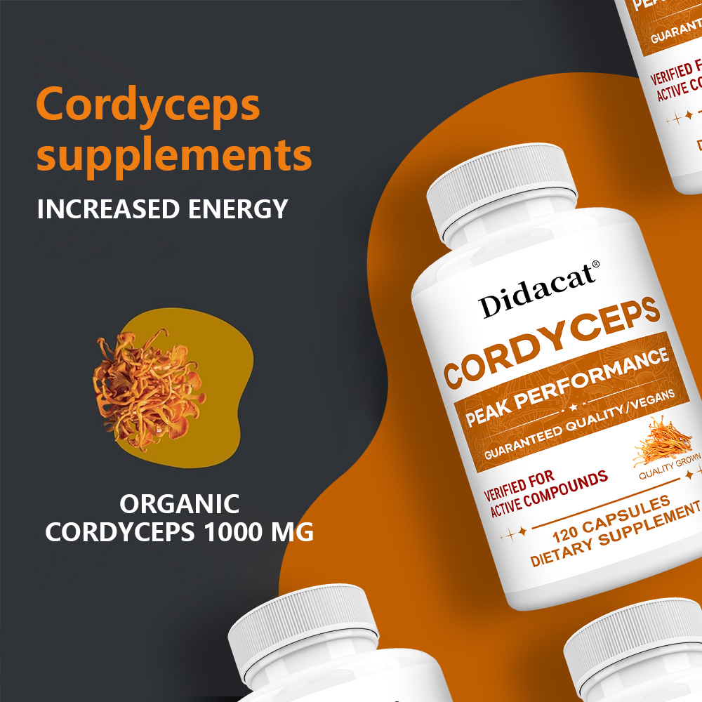 Cápsulas de Cogumelo Cordyceps - Health Wellness Day avaliação e preço